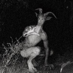 Meet your Posher, Liam